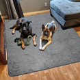 thumbnail image 4 of Washable Pee Pad for Dogs, 2 Packs Non-Slip Puppy Training Pads, Fast Absorbent Pet Whelping Pads, Puppy Playpen Mat for Incontinence, Housebreak, Crate, 4 of 5