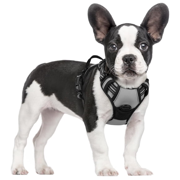 rabbitgoo Harnais pour Chien, Harnais pour Animal Anti-Traction avec 2 Pinces pour Laisse, Harnais Rembourré Doux Ajustable, Harnais Oxford Réfléchissant Anti-Étranglement pour Animal avec Poignée de Contrôle Facile pour Petits Chiens, Gris, P