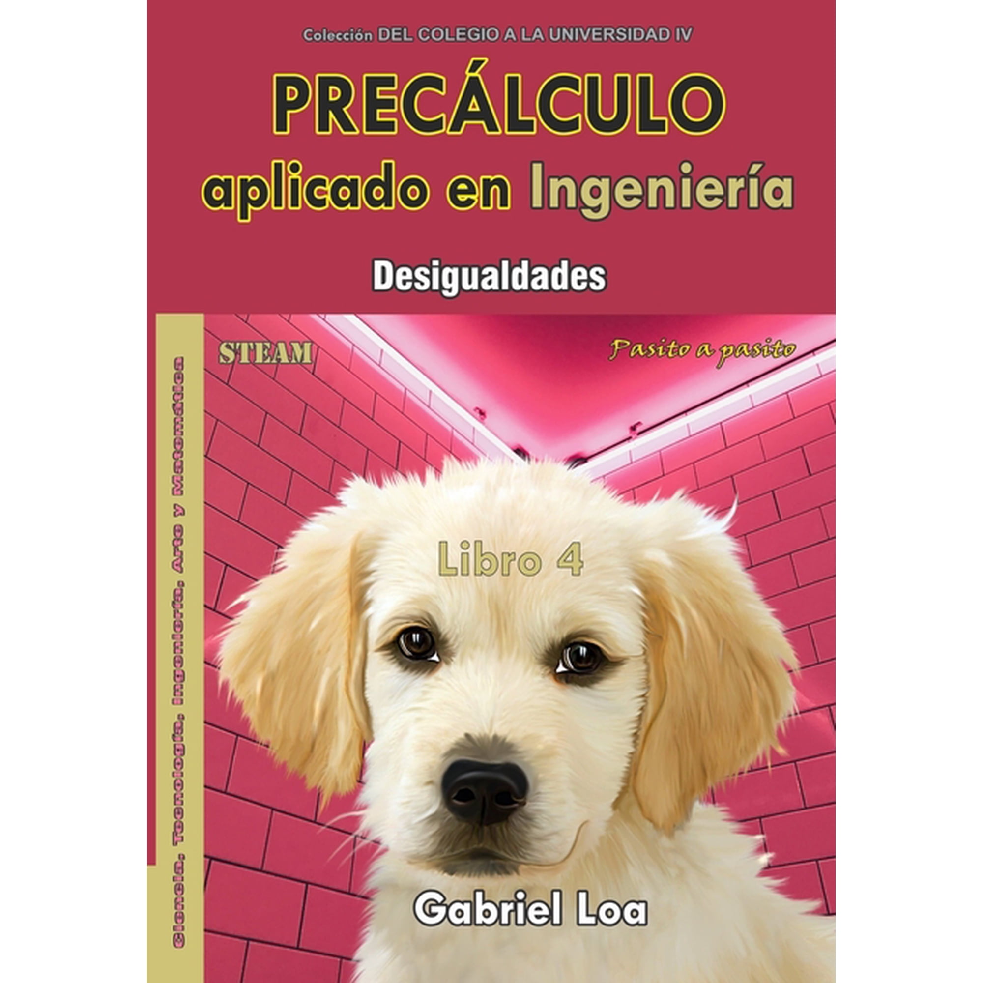 Precálculo-Libro 4: Desigualdades (Paperback)