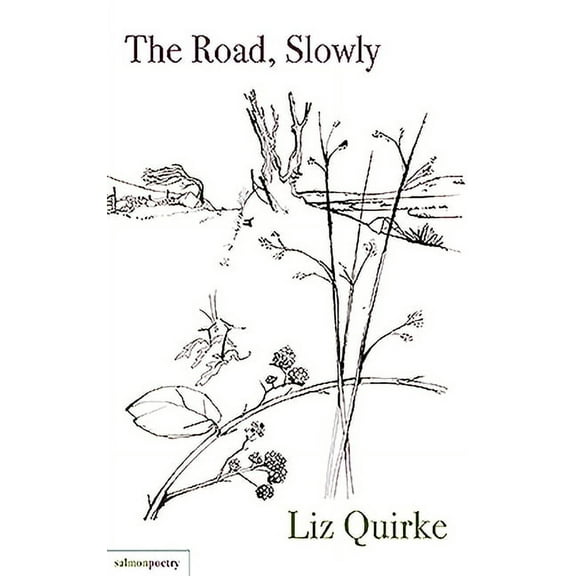 The Road, Slowly (Paperback)