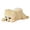 B, variant on B Lying Pomeranian Dog Animal Model Figure Toy Colorful Simulation Kids Educational Collectible Fun