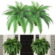thumbnail image 2 of 1 paquete de helechos artificiales impermeables a la luz, color verde helecho, con helechos realistas, ideales, 2 of 8