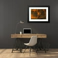 thumbnail image 4 of Arthur Bowen Davies 24x17 Black Modern Framed Museum Art Print Titled - Visions of Glory (1896), 4 of 5