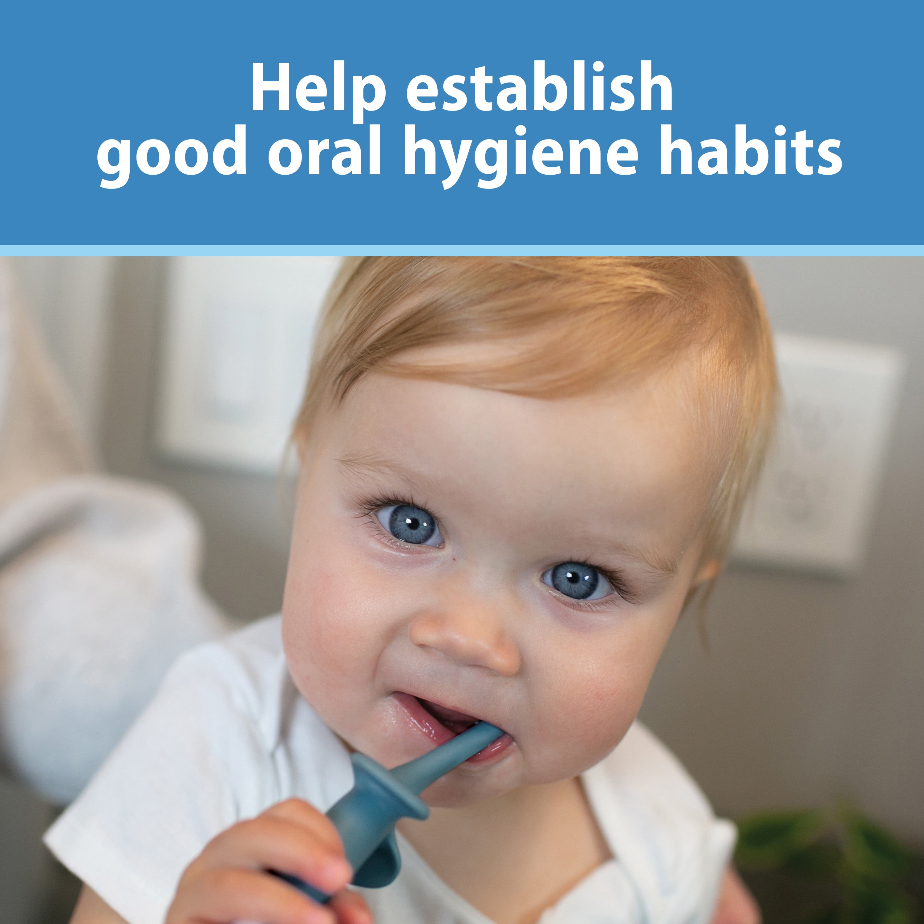 Dr. Brown's Infant-to-Toddler Training Toothbrush and Toothpaste, Blue Elephant/Apple Pear, 0-3 Years, Set