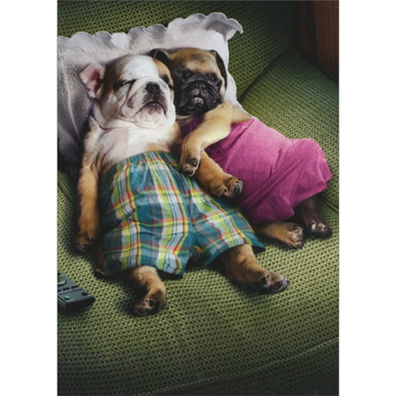 Avanti Press Two Dogs Snuggling on Green Couch Funny / Humorous Anniversary Congratulations Card