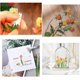 thumbnail image 3 of Pengxiaomei 80 piezas de stickers de flores naturales para scrapbooking, 3 of 6