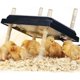thumbnail image 2 of Lámpara de calor para cría de aves de corral, placa calefactora de 25 x 25 cm, para gallinas y pollitos, 2 of 4