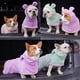 thumbnail image 5 of Zhuge Albornoz para perros, toalla de baño con capucha absorbente de microfibra de secado rápido para cachorros, perros pequeños, medianos y grandes, gatos (rosa, S), 5 of 5