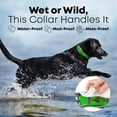 thumbnail image 5 of Regal Dog Products Waterproof Biothane Dog Collar and Leash Set with Double Buckle, 5 ft Leash, Small, Light Green, 5 of 10