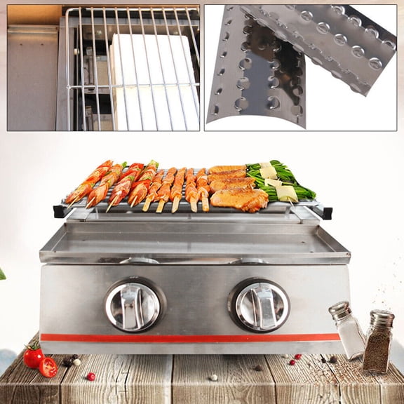DENEST 2-Burner Portable Stainless Steel Propane Gas Grill with Infrared Burners, Adjustable Grid & Safety