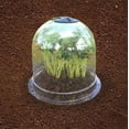 thumbnail image 3 of Mr.Garden Plastic Protective Garden Cloche, Plant Bell Cover, Plant Protector Cover for Season Extension with Ground Securing Pegs, 10Pack, Dia13 xH11.8, 3 of 3