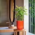 thumbnail image 3 of Ordivic 8 inch Glossy Orange Glazed Cylinder Ceramic Planter with Drainage Hole & Saucer, Warm Decor Round Flower Pot for Indoor & Outdoor Houseplants Patio Garden, 3 of 7