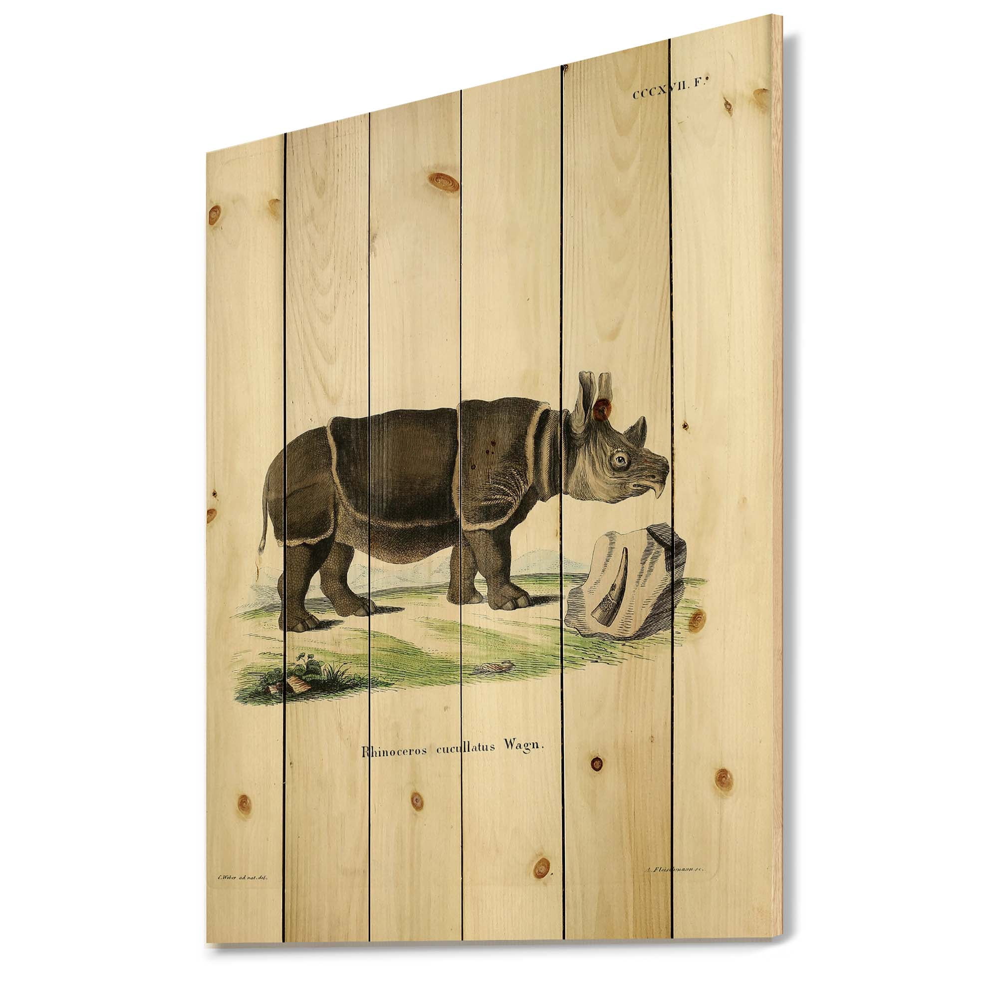 Designart 'Ancient Rhinoceros' Farmhouse Print on Natural Pine Wood