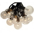 thumbnail image 2 of G50 LED Warm White String Lights with Black Wire, 2 of 8