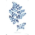 thumbnail image 3 of Jean Plout - Indigo Botanical Adiantum Assimle Wall Poster with Pushpins, 22.375" x 34", 3 of 6