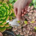 thumbnail image 5 of Colorful Succulent Plants Green Jigsaw Puzzle 500 Pieces Wooden Jigsaw Puzzles for Adults, Fun Challenging Brain Exercise Family Game Creative Gift for Friends Parents Grandparents, 5 of 7
