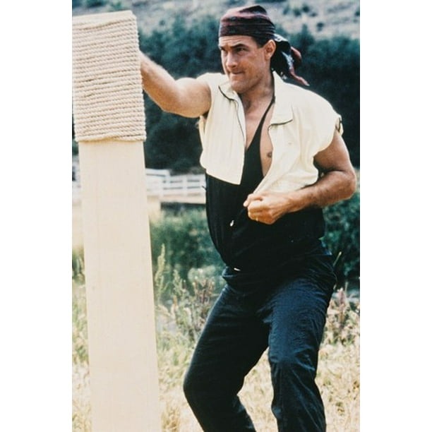 Steven Seagal 24x36 Poster In Kung Fu Action Pose Walmart Com Walmart Com