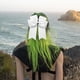 thumbnail image 5 of Pinza para el pelo con lazo de cinta de satén acanalado de doble capa de 6 pulgadas para accesorios de pelo de niños Pinza para el pelo tipo banda, 5 of 8