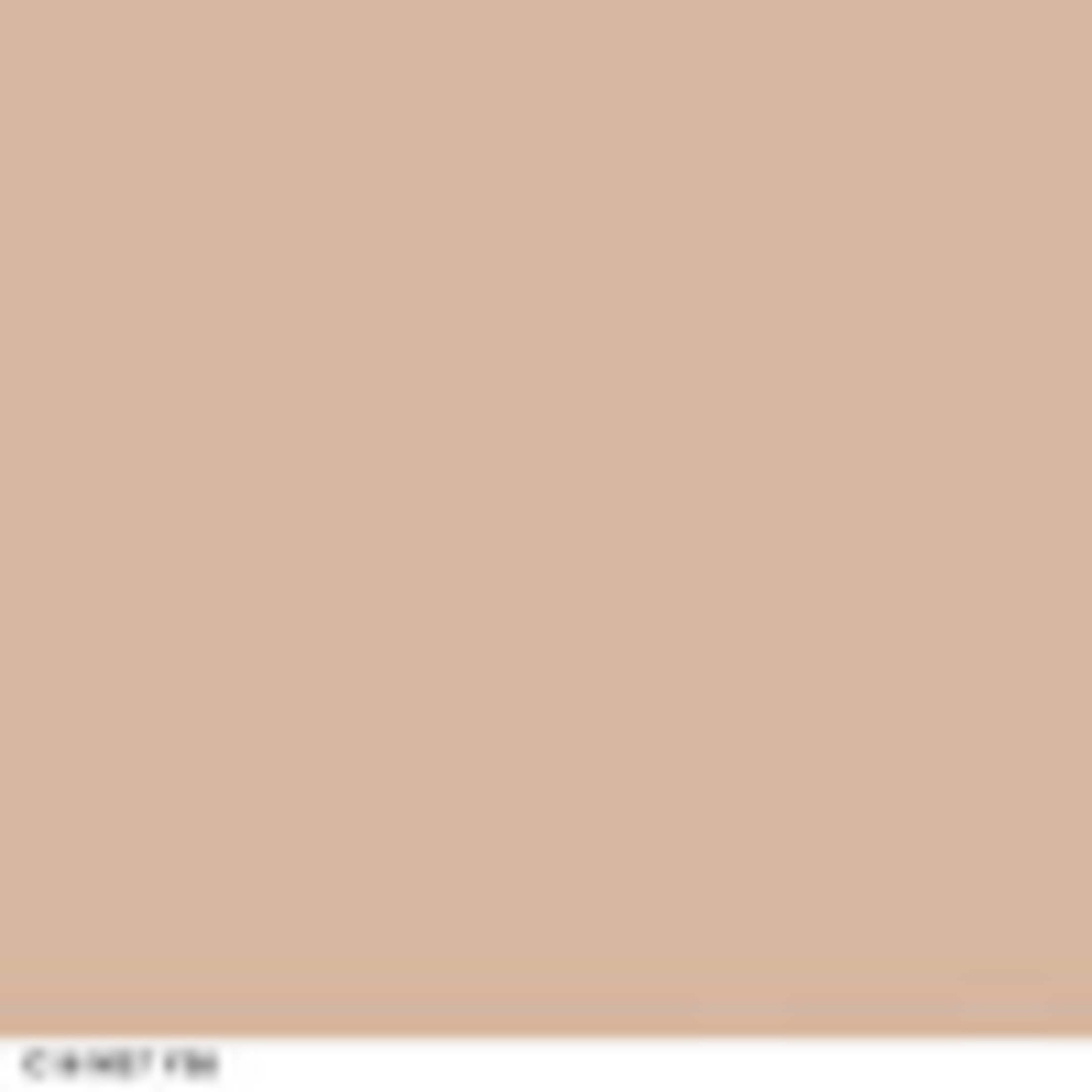 Classic Beige