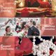 thumbnail image 5 of Baicccf 2000 Piezas Pétalos De Rosa De Seda De Color Rojo Vino Pétalos De Seda, Decoración De Fiesta De Bodas para Una Noche Romántica Día De San Valentín, 5 of 5