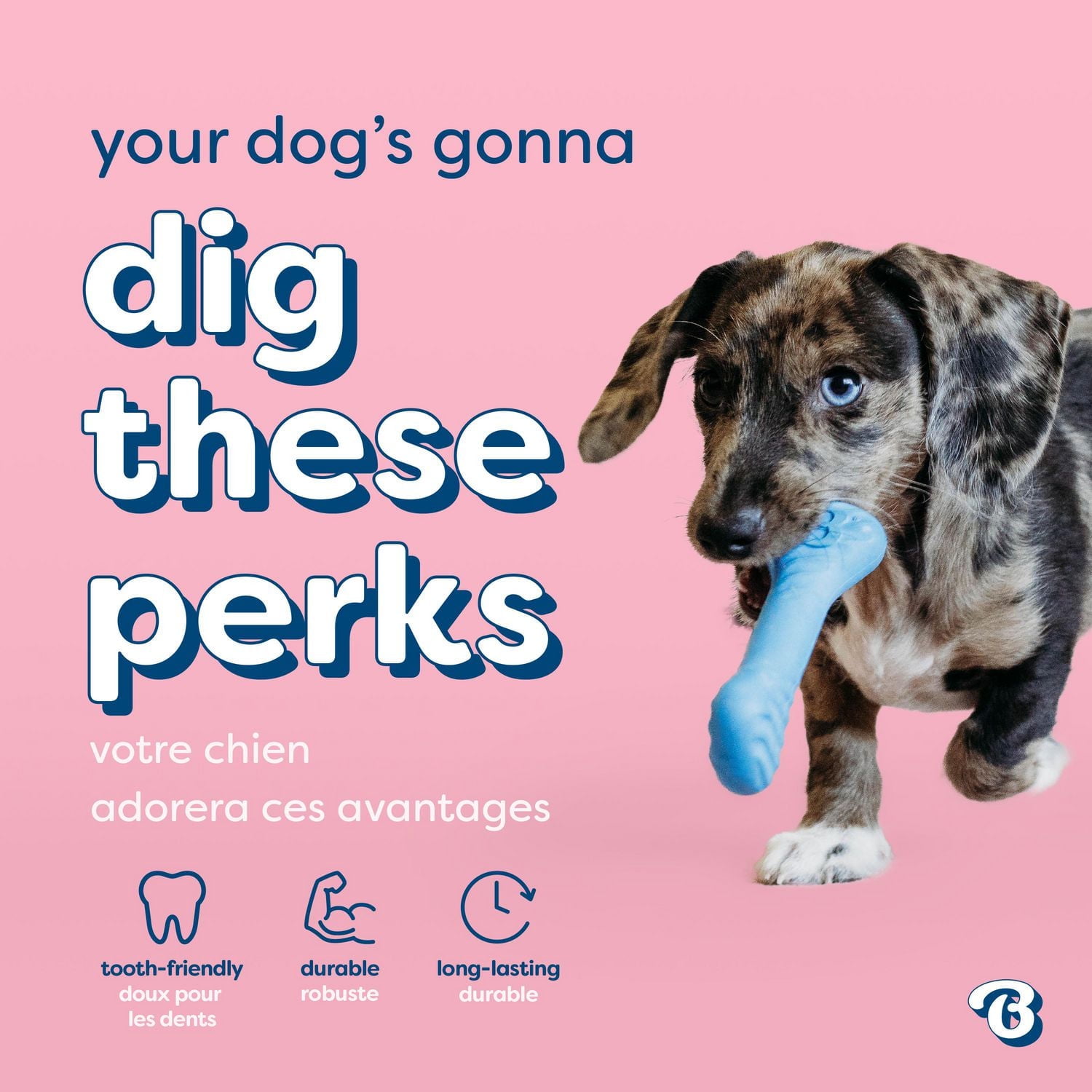 Benebone Essentials Puppy, Rubber and Bacon Wishbone, 2pk, Benebone Essentls Puppy, 2pk