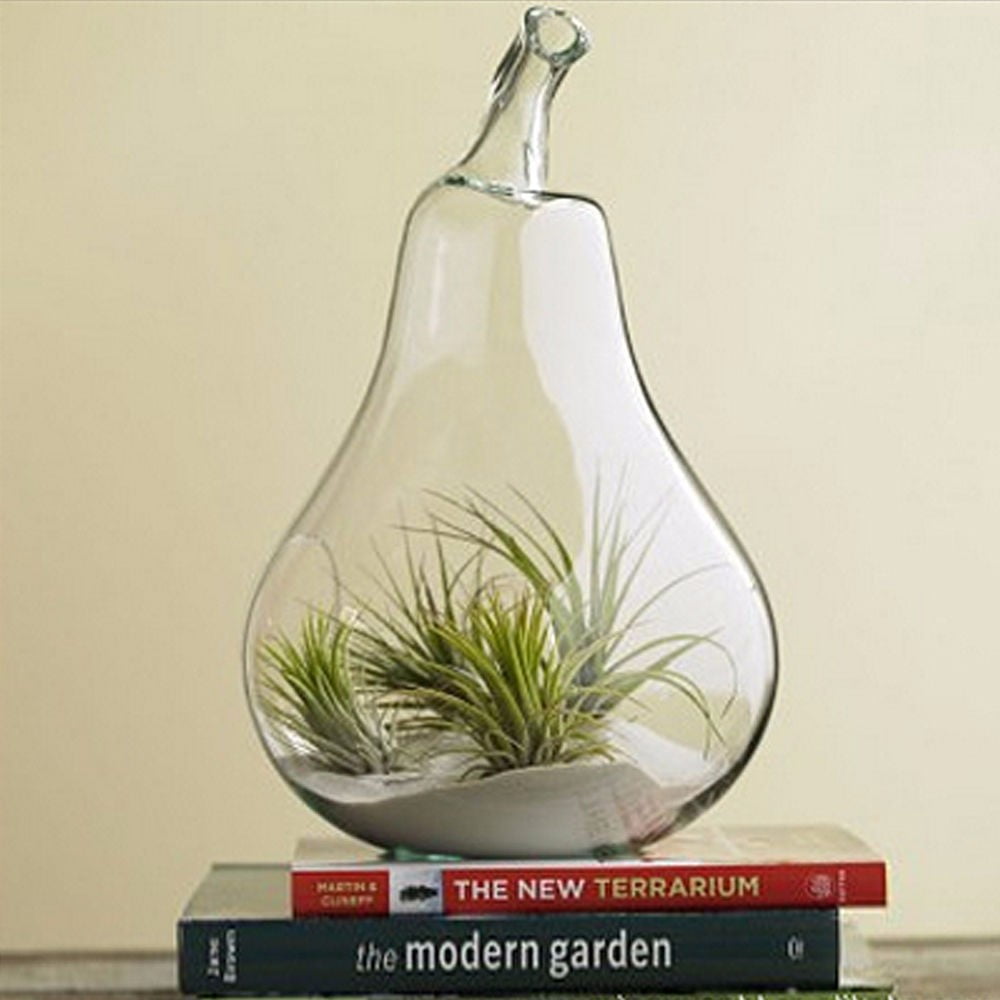 Pear Crystal Glass Vase Planter Hydroponic Pot Terrarium Container Home Decor 