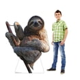 thumbnail image 3 of Sloth, 3 of 3