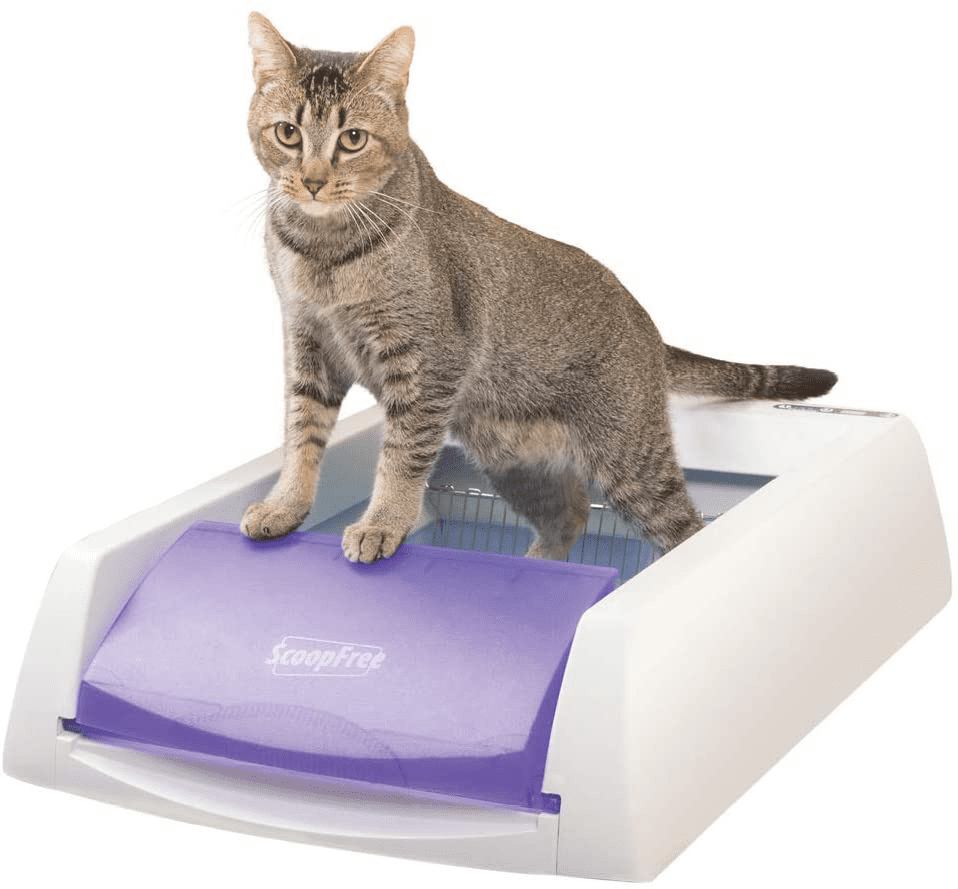 PetSafe ScoopFree Original Automatic Self-Cleaning Cat Litter Boxes Purple or Taupe Ultra with Health Counter Includes Disposable Litter Tray with 4.5 lb Premium Blue Crystal Cat Litter 