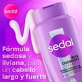 thumbnail image 3 of Shampoo Sedal Mega Crecimiento 580 ml, 3 of 5