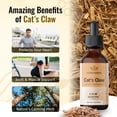 thumbnail image 3 of HERBAMAMA Cat's Claw Liquid Extract 2 fl. oz - Uncaria Tomentosa - Muscle, Joint & Immune Support, 3 of 7