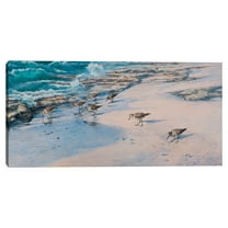 Sanderlings by Michael Johnson Canvas Art Print
