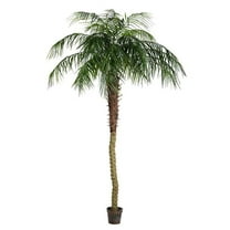 8 ft. Potted Pheonix Palm Tree 1095-Leaves