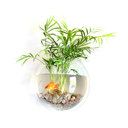 Flower Vase Online Purchase Home Decoration Wall Mount Fish Tanks Goldfish Bowl Acrylic Hanging Aquariums Flowerpot Flower Vase ()