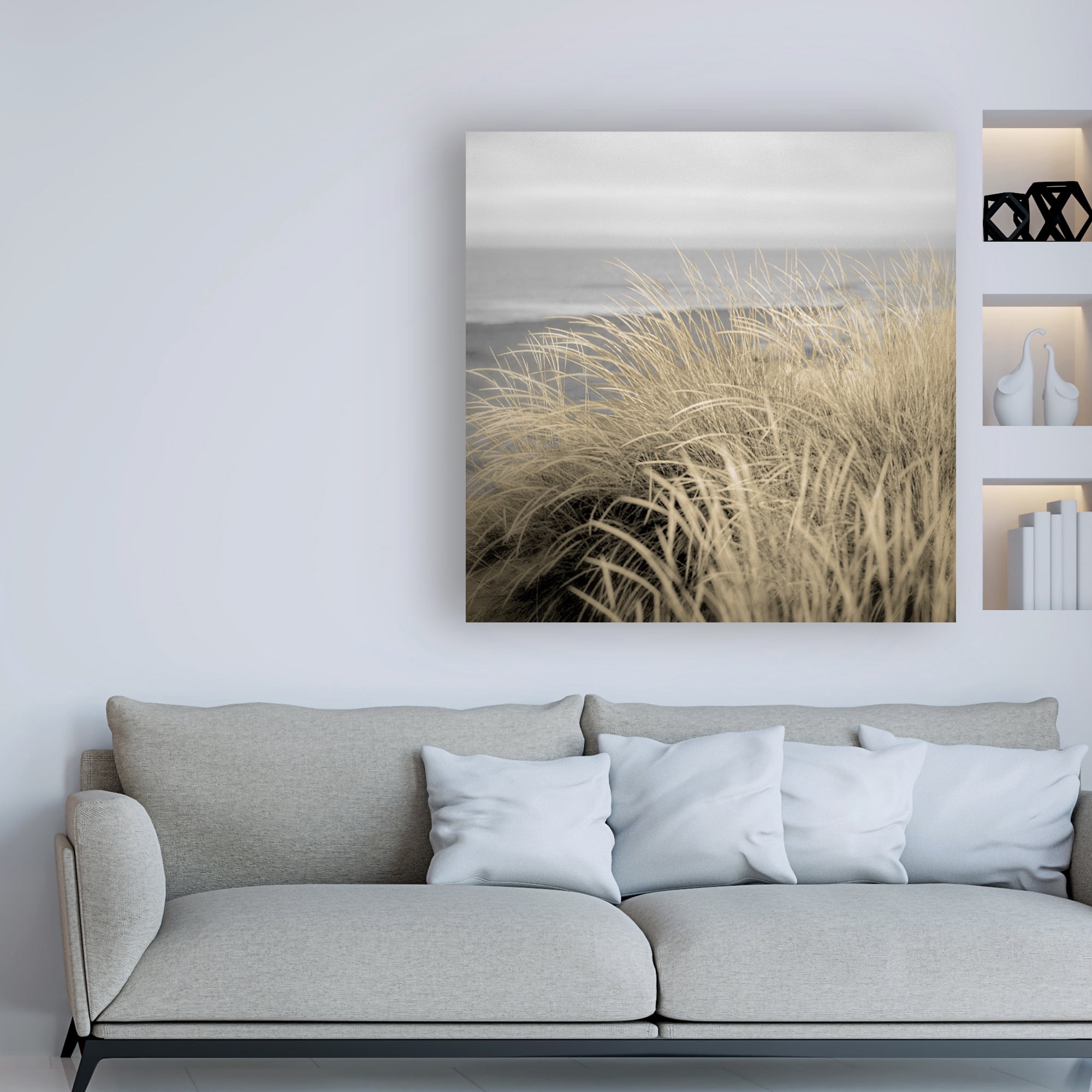 Trademark Fine Art 'Tuscan Dunes #2A' Canvas Art by Alan Blaustei