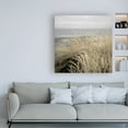 thumbnail image 3 of Trademark Fine Art 'Tuscan Dunes #2A' Canvas Art by Alan Blaustei, 3 of 3