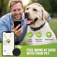 thumbnail image 6 of Tractive GPS Dog Tracker - GPS Tracker for Dogs,Dog Tracker,GPS Dog Collar, No Monthly Fee, Compatible with Apple (iOS Only),Anti-Lost Tracking Device for Pets, Luggage, Bag Straps,Black, 6 of 9