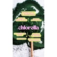 thumbnail image 3 of Chlorella Orgánica 100 g en Polvo GLOW Superfoods, 3 of 4