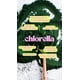 thumbnail image 3 of Chlorella Orgánica 100 g en Polvo GLOW Superfoods, 3 of 4
