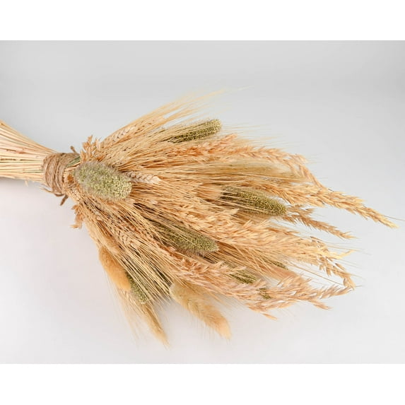 Case of 10, Late Summer Harvest Grain Bunch for Season Home, Office, Party, Reception Décor