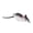Dark Grey, variant on Riousery Mouse Shape Soft Bait Fishing Lures Artificial Topwater Tackle Accessory with High Strength Dual Barbed Hooks for Bass Fishing Trips, 1.97 Inches / 5 cm, Grey