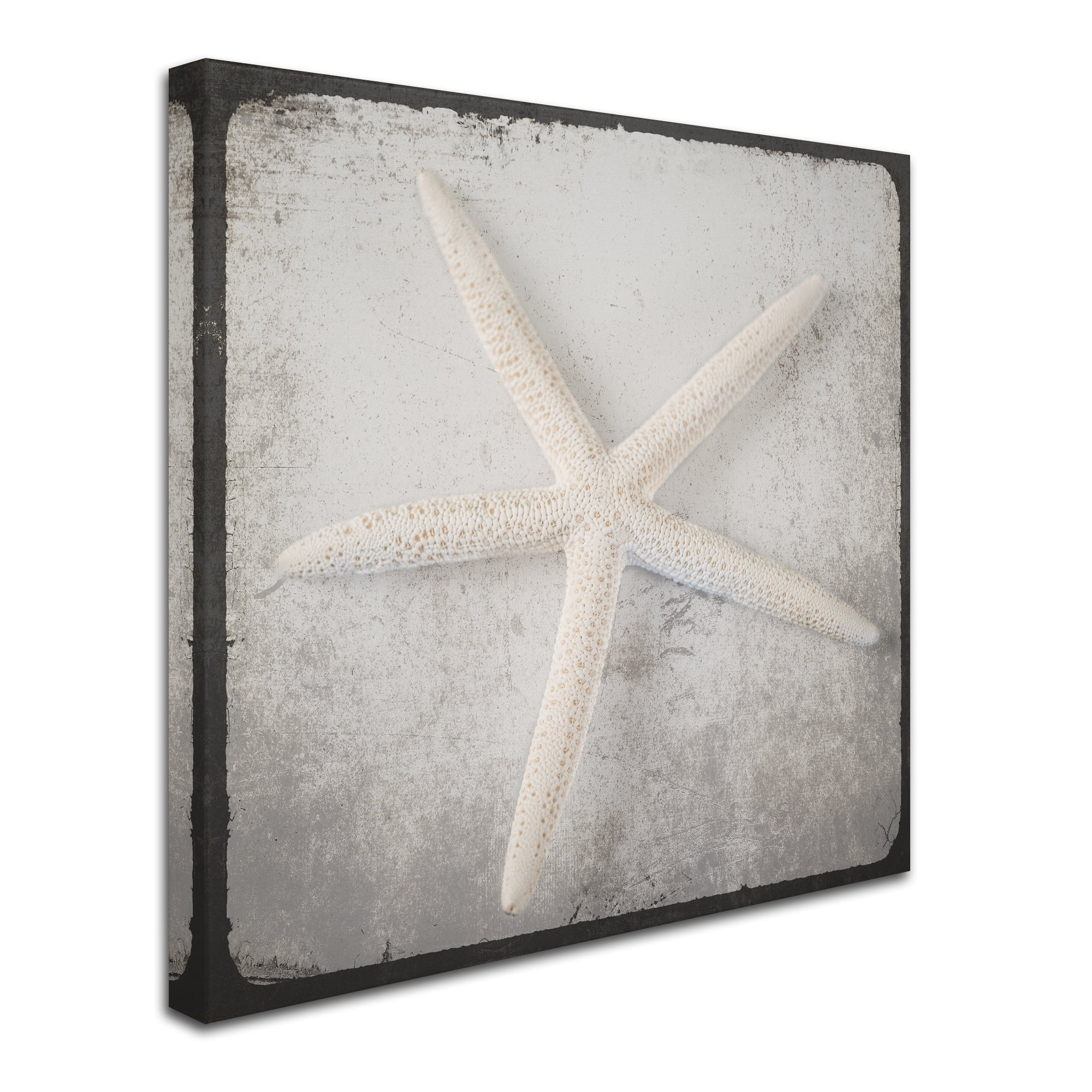 Trademark Fine Art 'Vintage Nautical Set 2' Canvas Art by LightBoxJournal