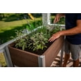thumbnail image 2 of Vita Urbana 22 in x 35 in Raised Vinyl Herb Farm, Espresso Brown, VT17518, 2 of 4