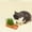 Orange, variant on BingTong Cat Grass Box For Indoor Cats Planting Box Soilless Pot Large Grass Planter Soilless Hydroponic Growing Pot For Easy Cleaning 8*4*2Inch 1pcs Orange