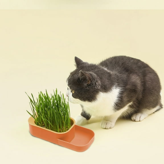 Hydroponic Cat Grass Grower Kit - Soil-Free Wheatgrass Planter with Detachable Tray for Indoor Cats' Digestive Health​(Orange)