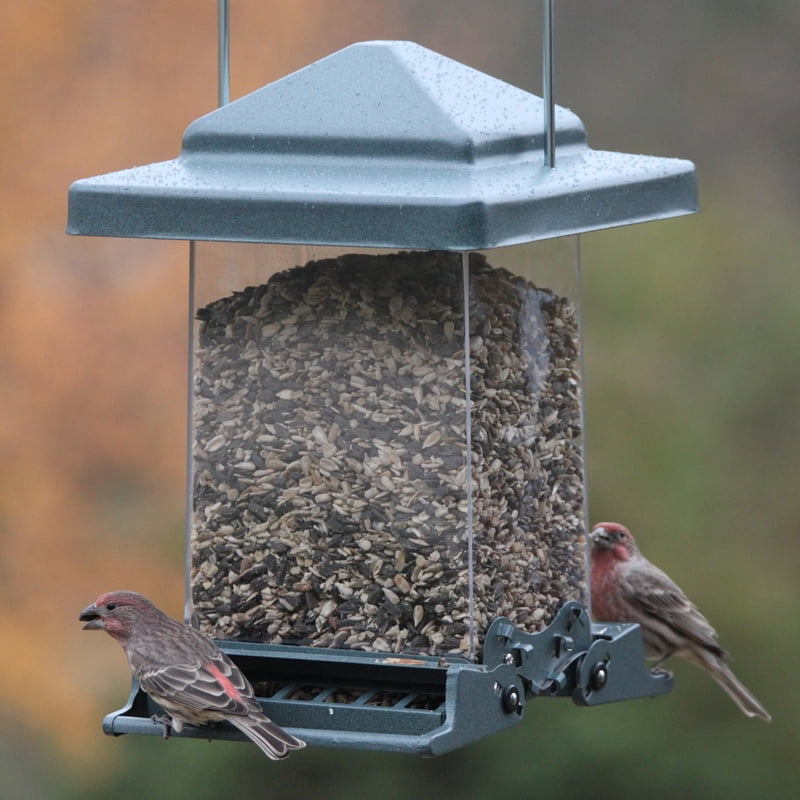 Audubon 75160 6 Lb Capacity Vista Squirrel Proof Bird Feeder