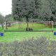 thumbnail image 1 of Red ajustable de voleibol y tenis, interior y exterior., 1 of 5