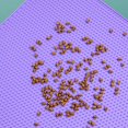 thumbnail image 2 of Silicone Pet Cat Litter Mat Anti-slip Kitty Paws Scratch Pad Easy to Clean, 2 of 5