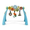 Infantino - Pop & Play, Pop & Swap Gym