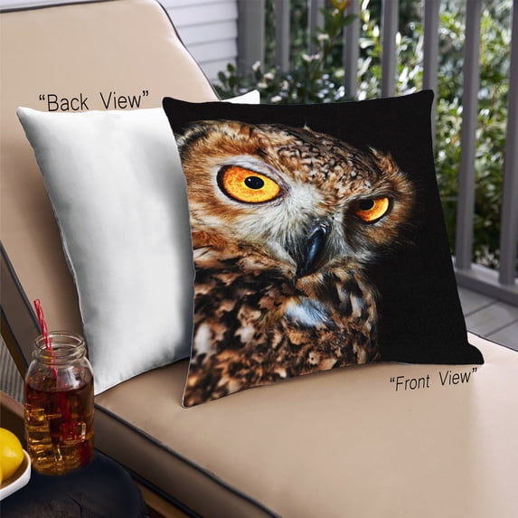 Ahgly Company Animals Owl Outdoor Throw Pillow, 18 inch by 18 inch