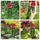 thumbnail image 3 of Plantas decorativas para exteriores, cactus, adorno para jardín, letrero, estaca para jardín, escultura de hongo insertada, acrílico, 3 of 6